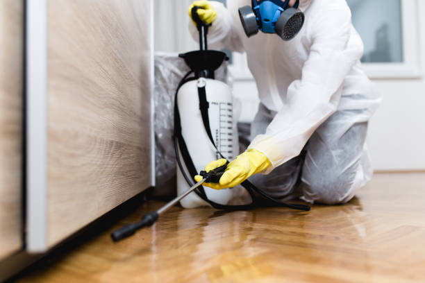 Best Local Pest Control Services  in St Charles, MN