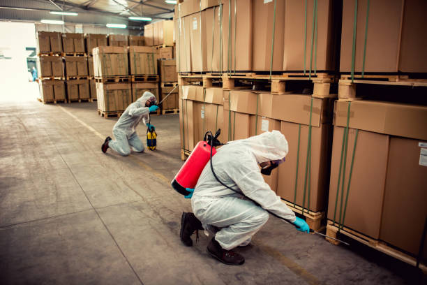 Best Local Pest Control Services  in St Charles, MN