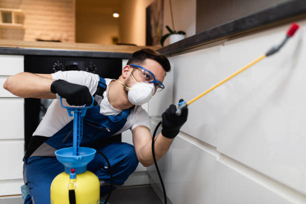 Best Emergency Pest Control  in St Charles, MN