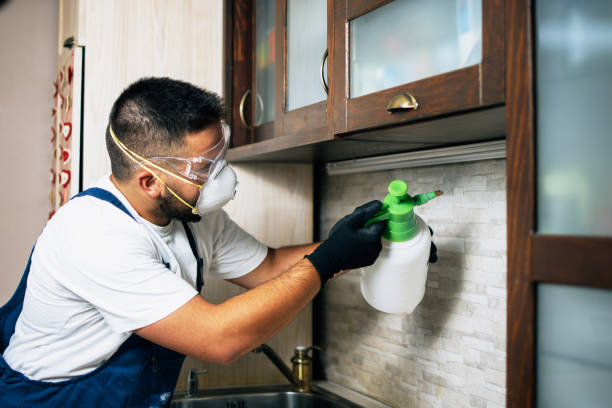  St Charles, MN Pest Control Pros
