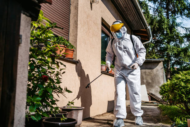 Best Wildlife Control Services  in St Charles, MN