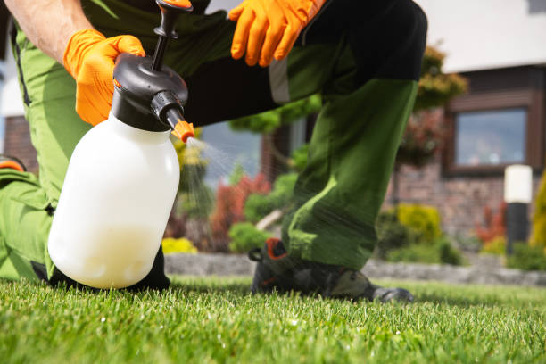 Reliable St Charles, MN Pest Control Solutions