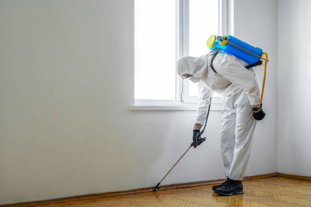 Best Bed Bug Extermination  in St Charles, MN