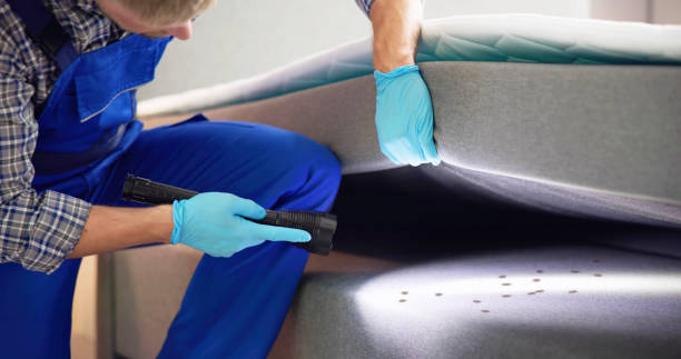 Best Commercial Pest Control Services  in St Charles, MN