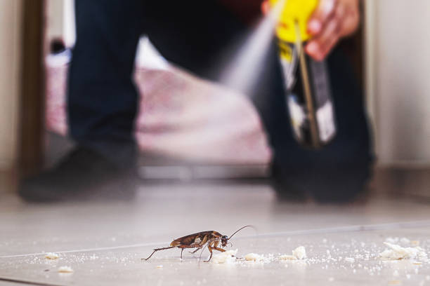 Best Pest Inspection Near Me  in St Charles, MN