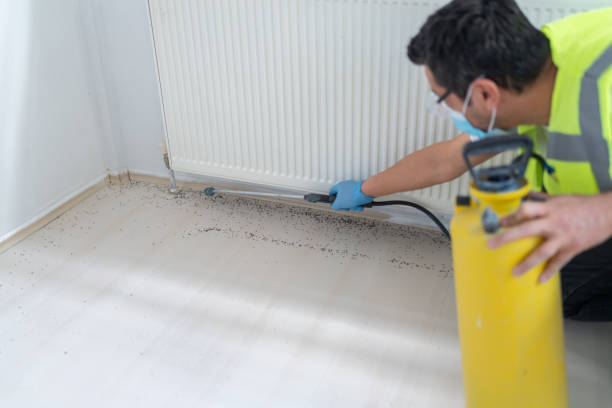 Best Best Pest Control Companies  in St Charles, MN